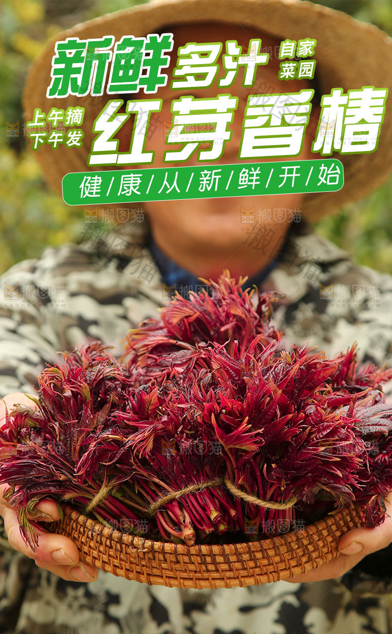 香椿芽详情页设计