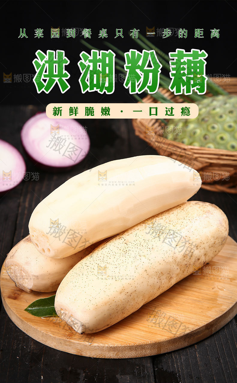 新鲜粉藕详情页