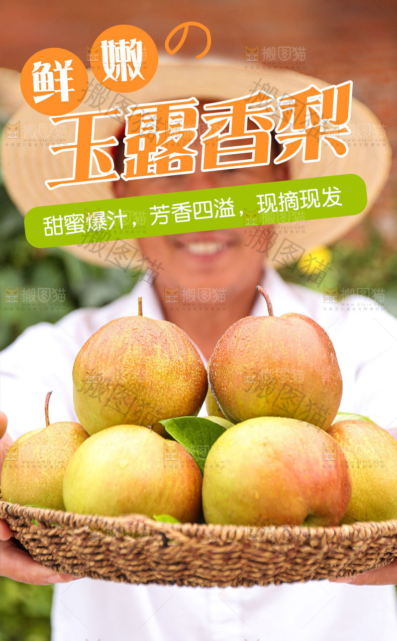 玉露香梨详情页