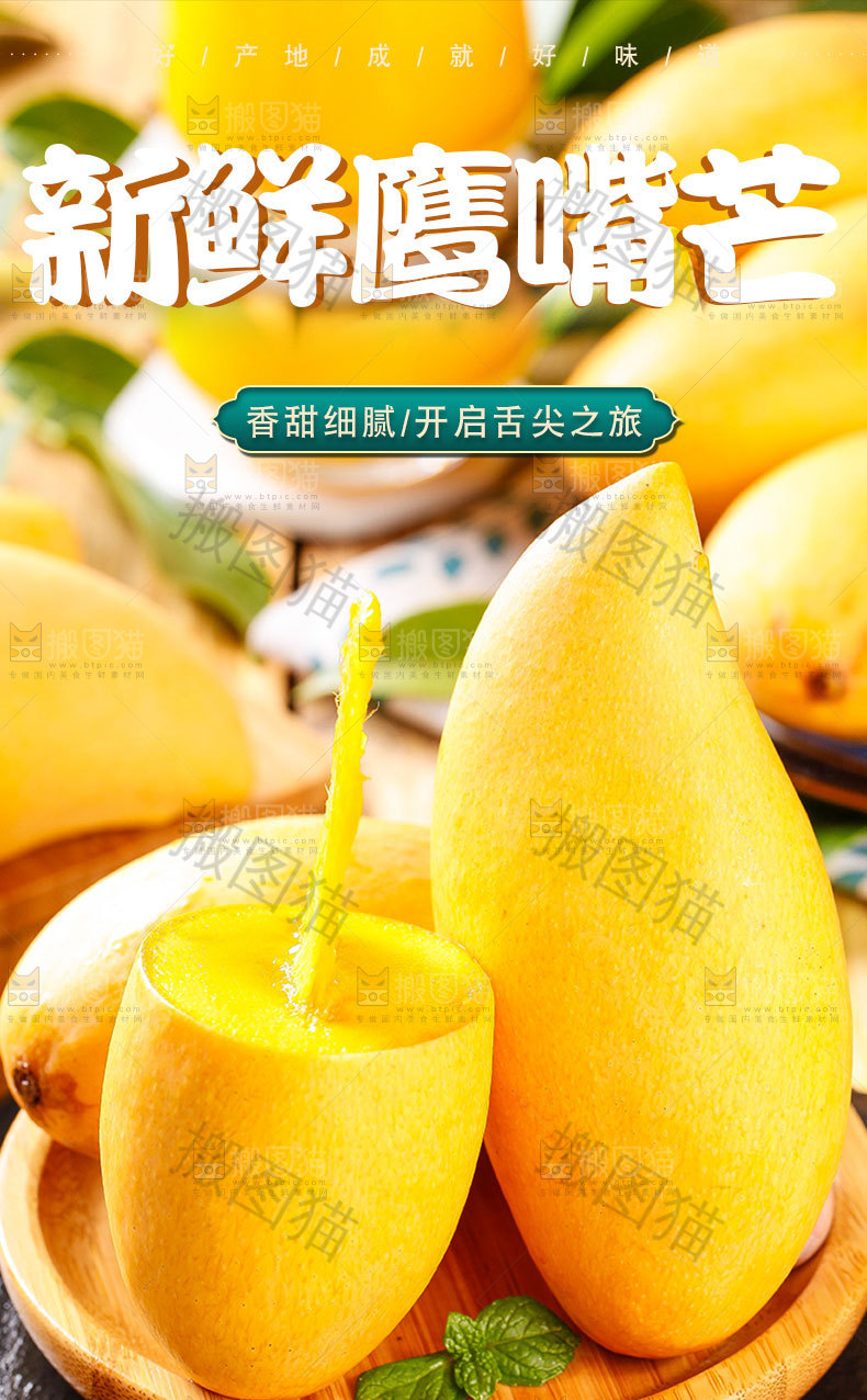 新鲜鹰嘴芒详情页