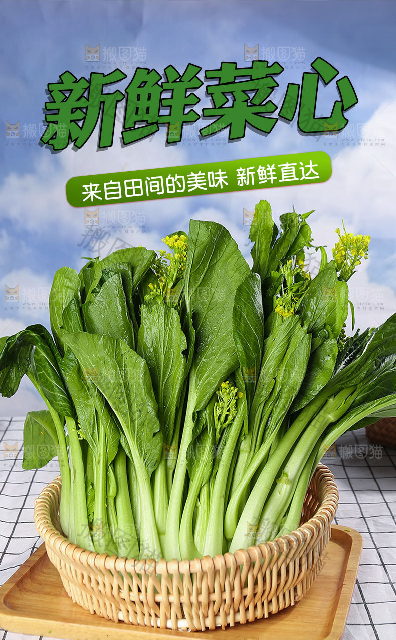 新鲜菜心详情页