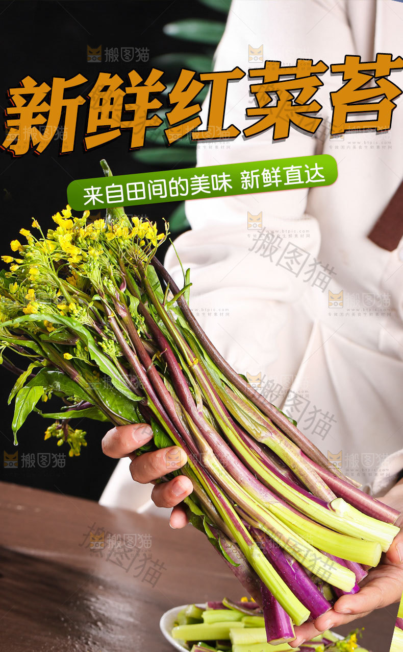 新鲜菜苔详情页