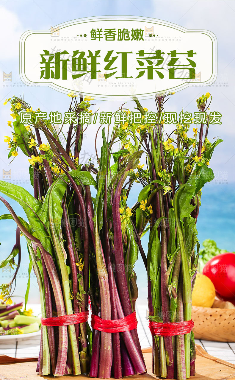 新鲜红菜苔详情页