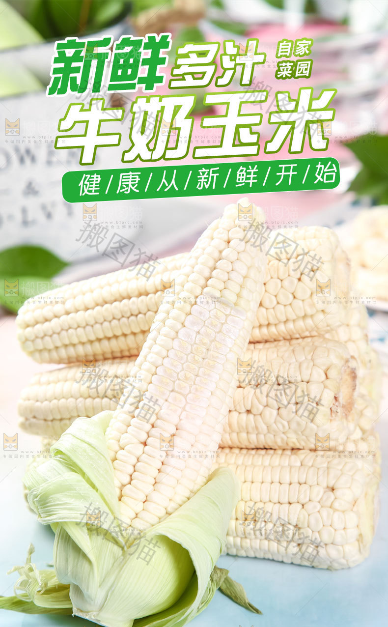 牛奶甜玉米详情页