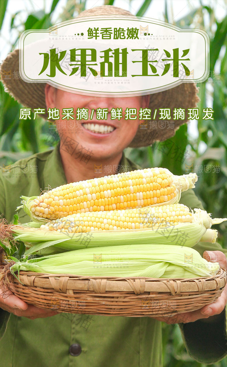 甜玉米详情页