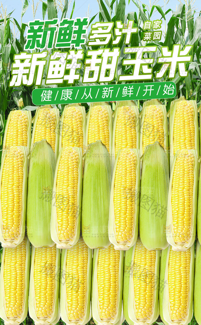甜玉米详情页设计