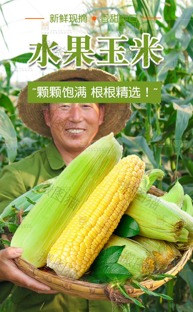 新鲜水果玉米详情页