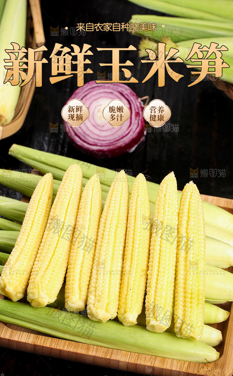 新鲜玉米笋详情页