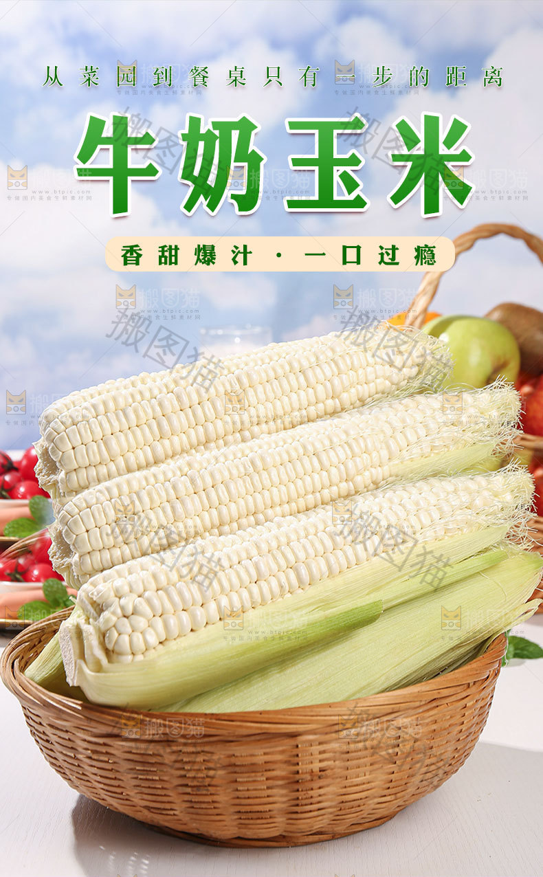 新鲜牛奶玉米详情页