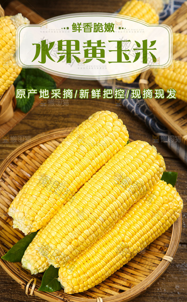 新鲜甜玉米详情