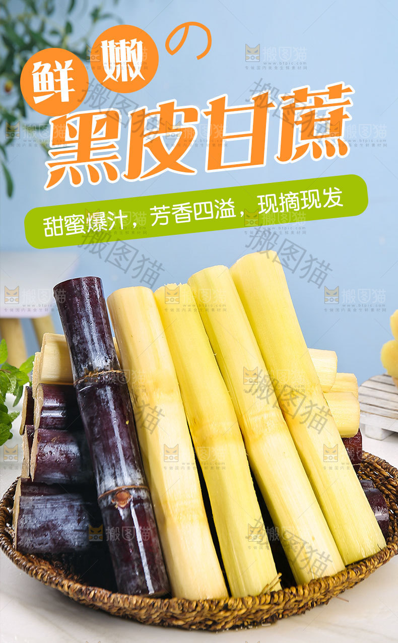 新鲜黑皮甘蔗详情