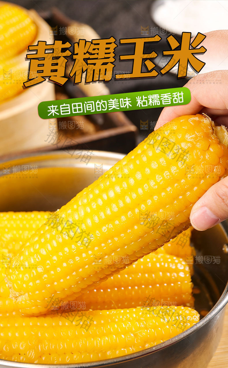 黄糯玉米详情