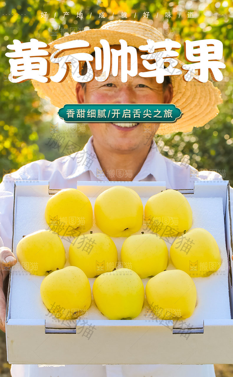 黄元帅苹果详情页