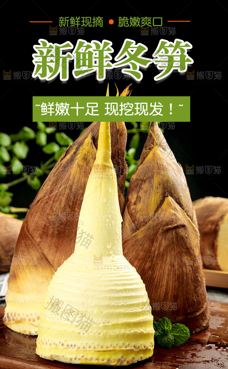 新鲜冬笋详情页