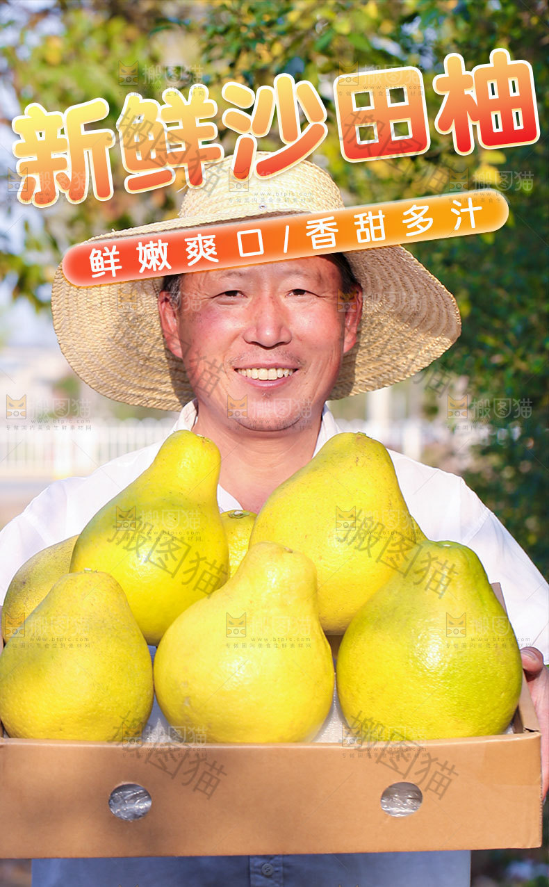 梅州沙田柚详情页