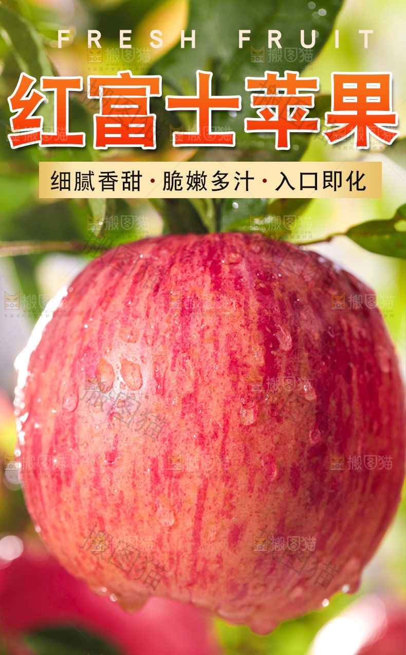 红富士苹果详情页