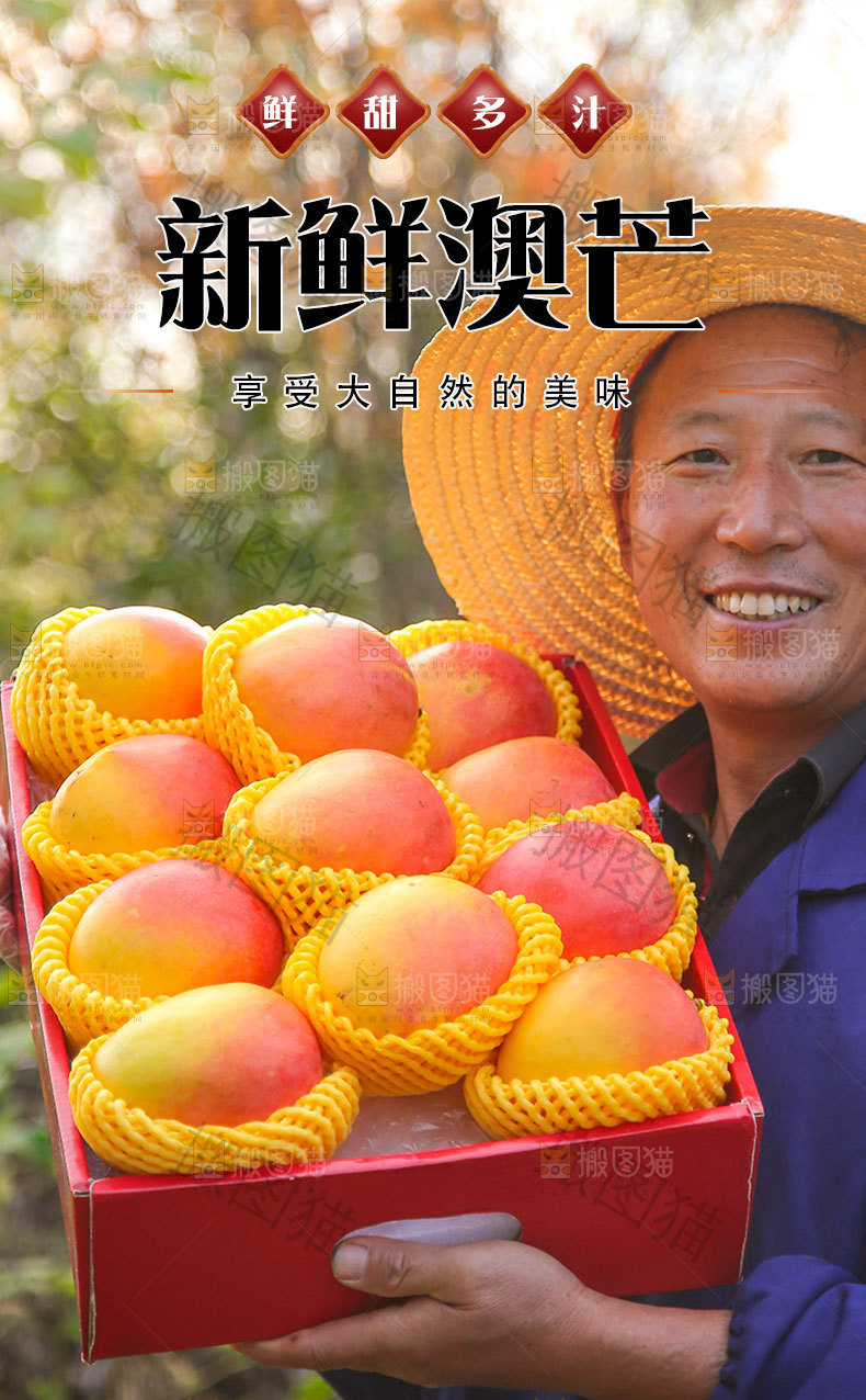 澳芒果详情页