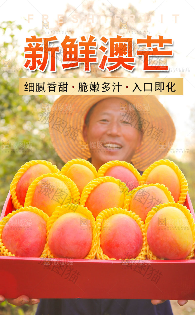 新鲜澳芒详情页