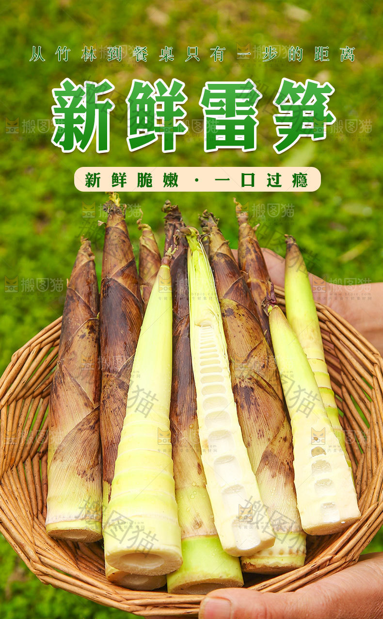 新鲜雷笋详情页