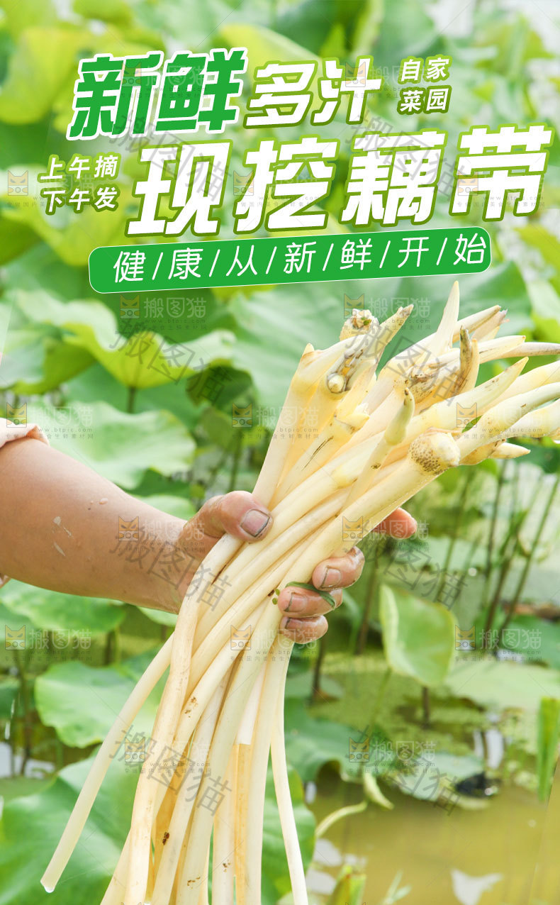 现挖藕带详情页