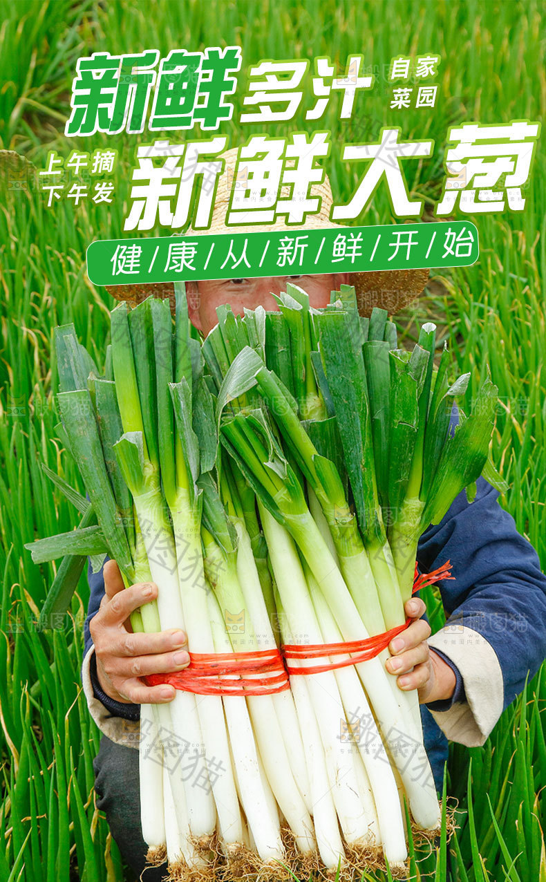 新鲜大葱详情页