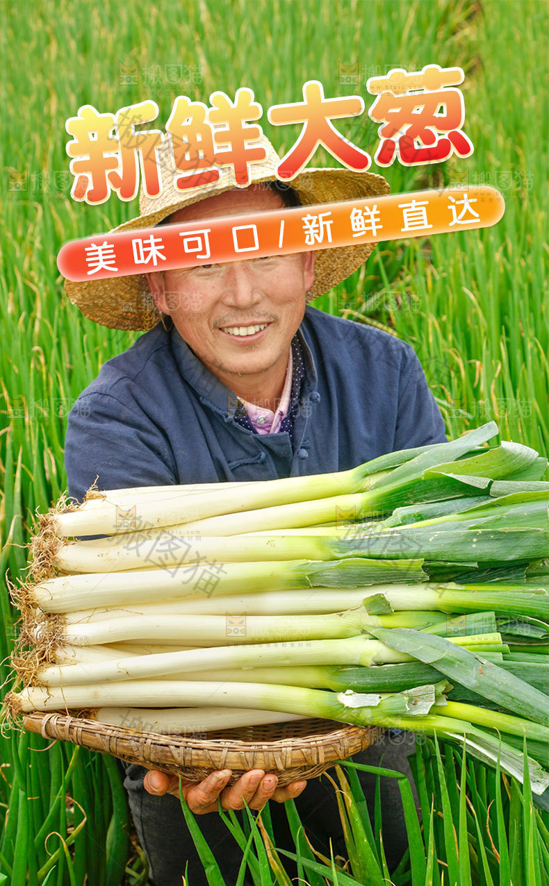 新鲜大葱详情页
