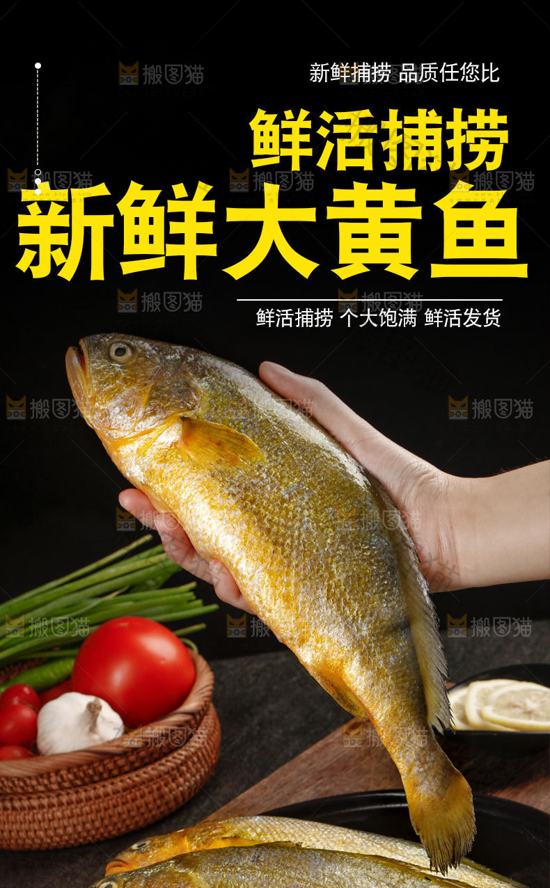 大黄鱼详情页