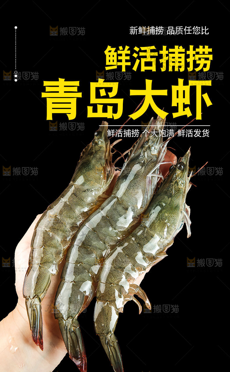 青岛大虾详情页