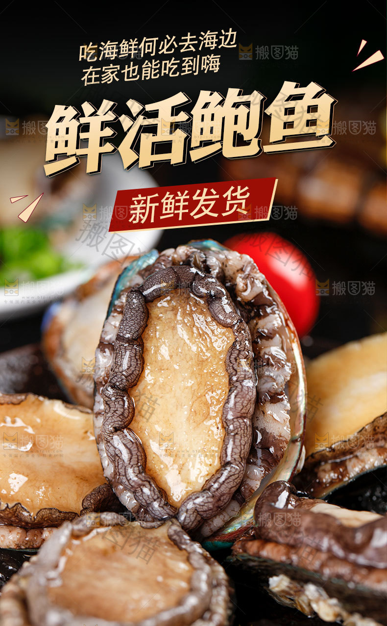 鲍鱼详情页设计