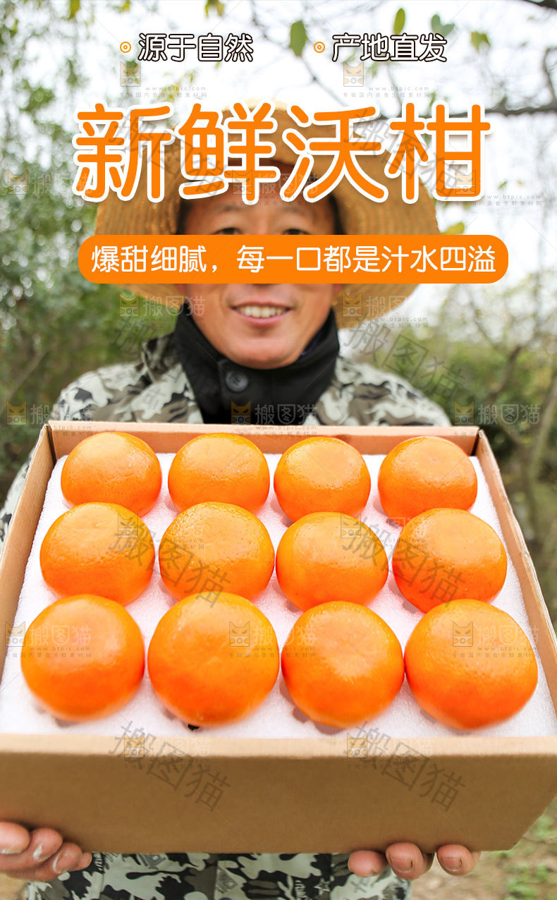 新鲜沃柑详情页