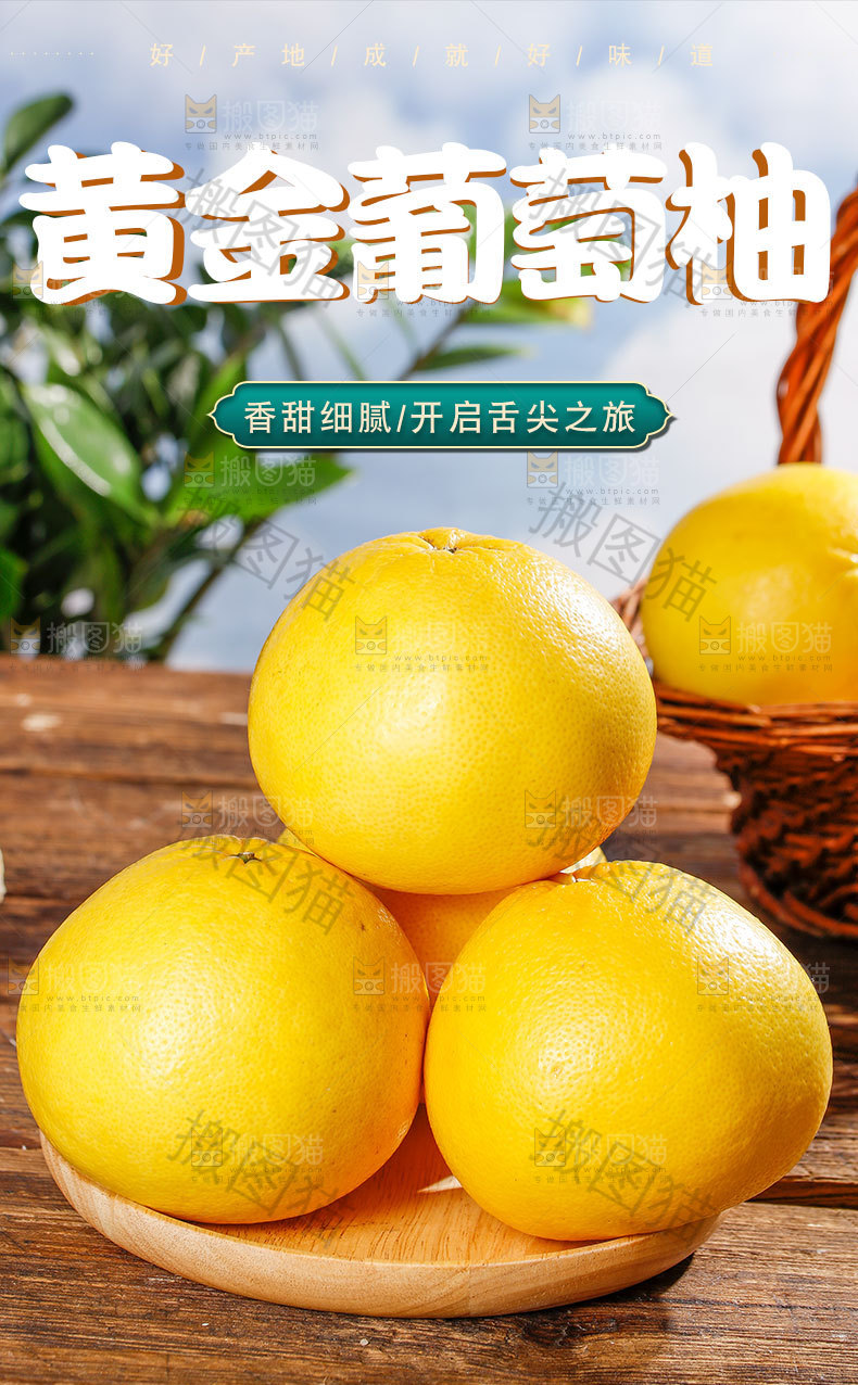 黄金葡萄柚详情