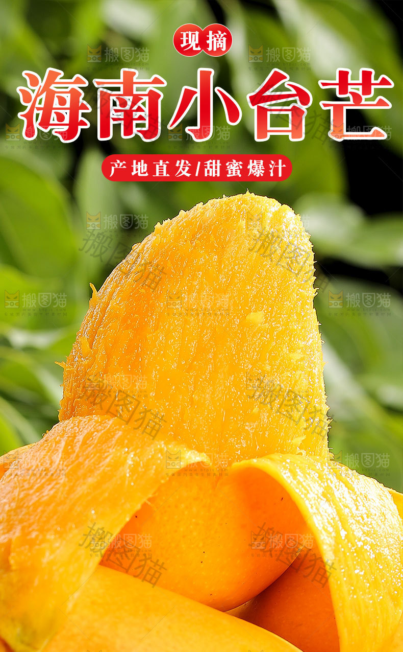 海南小台芒详情页