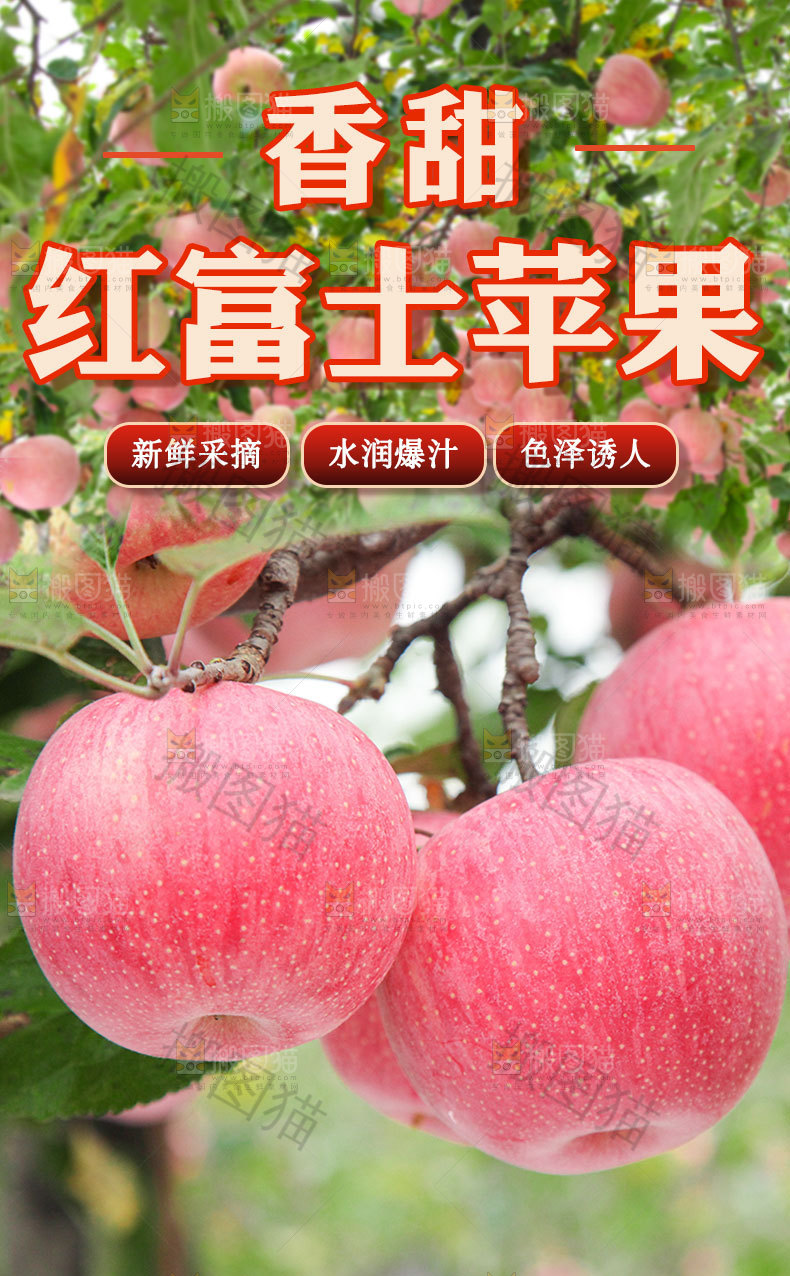 红富士苹果详情页