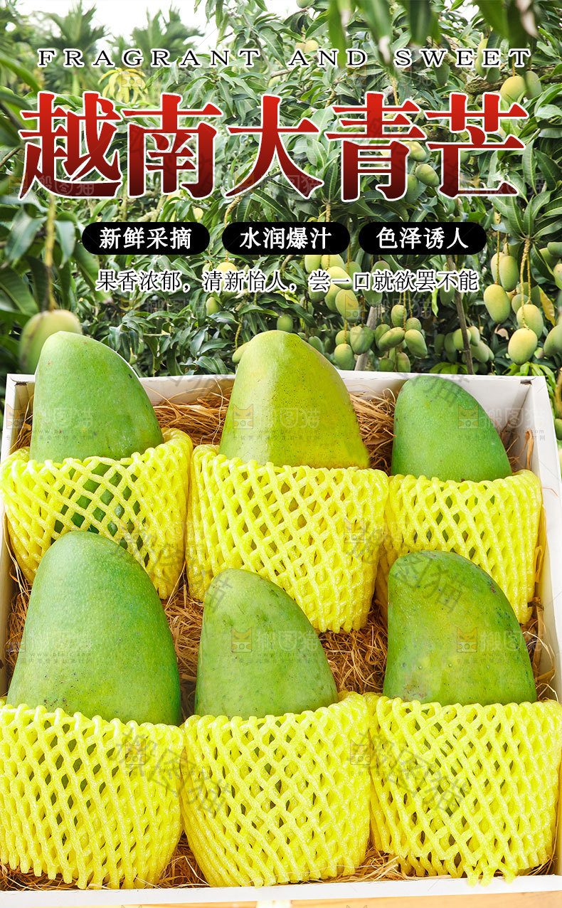 香甜大青芒详情页