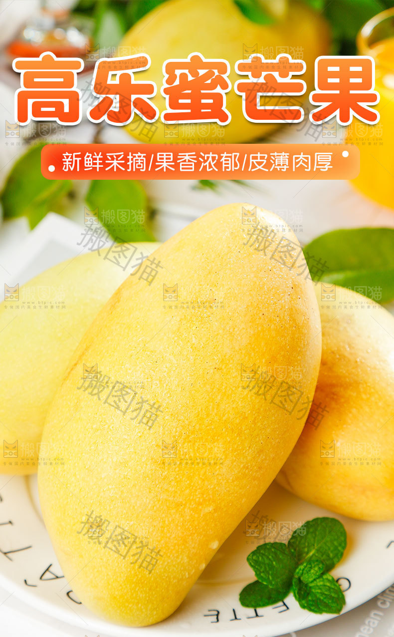 高乐蜜芒果详情