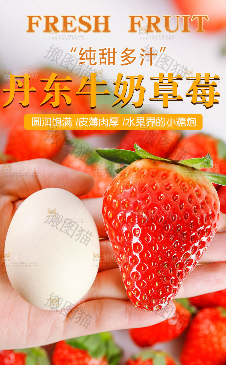 丹东牛奶草莓详情页