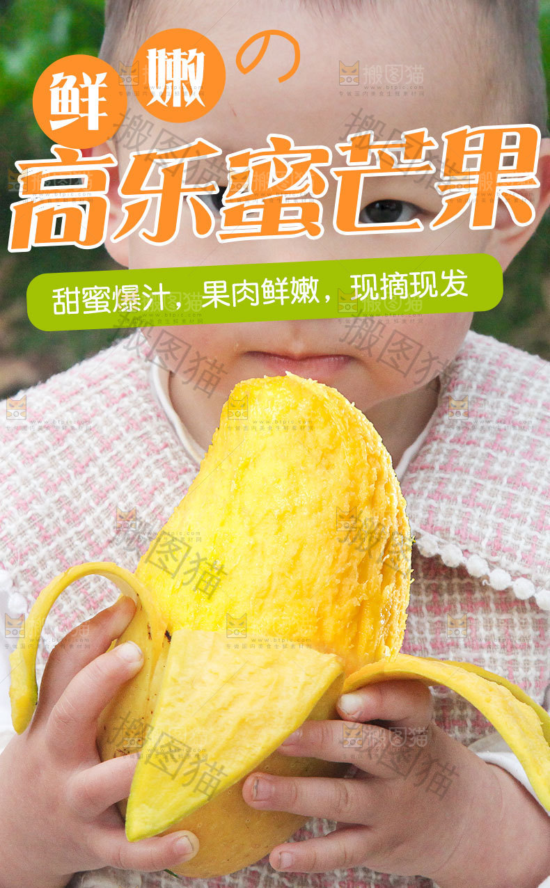 高乐蜜芒果详情