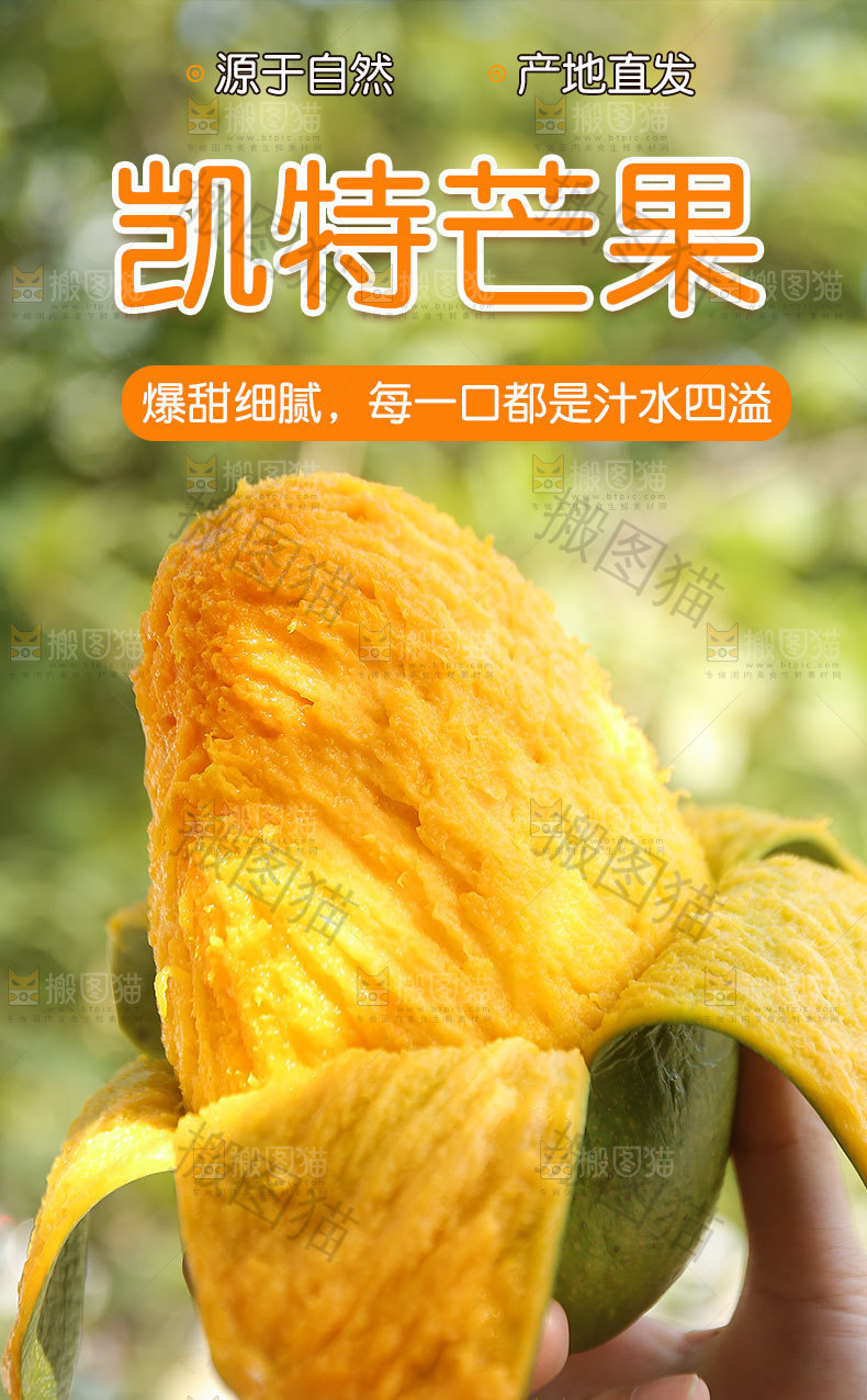 凯特芒详情页