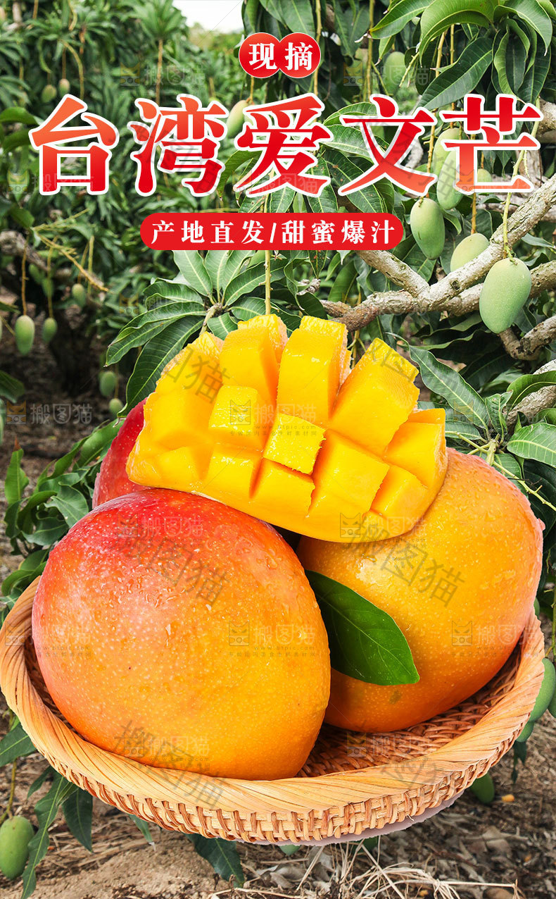 台湾爱文芒详情页
