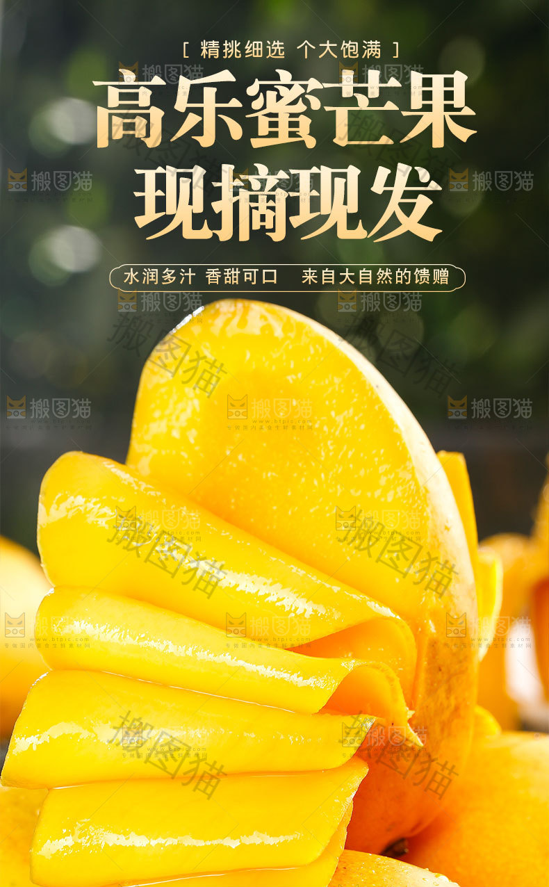 高乐蜜芒果详情页