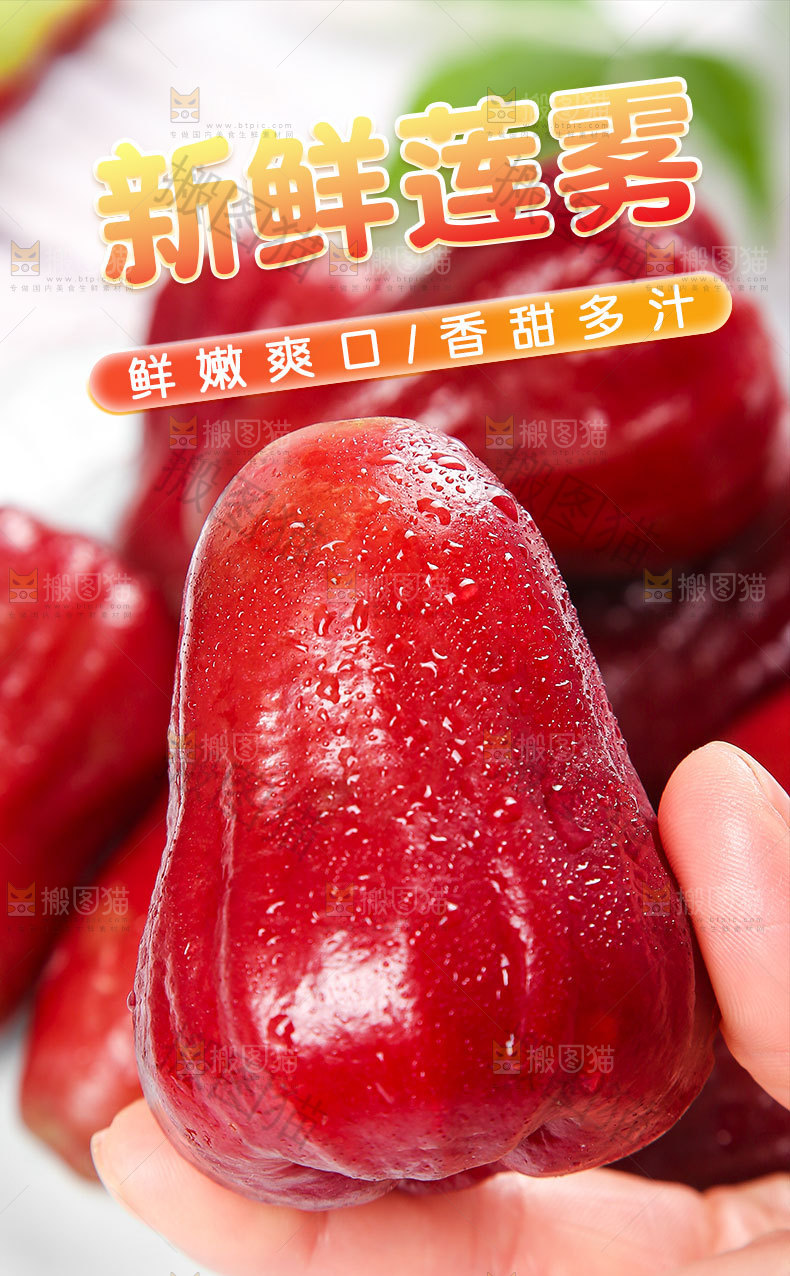 新鲜莲雾详情