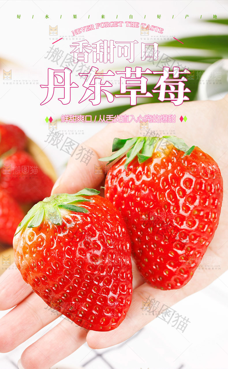 丹东草莓详情页