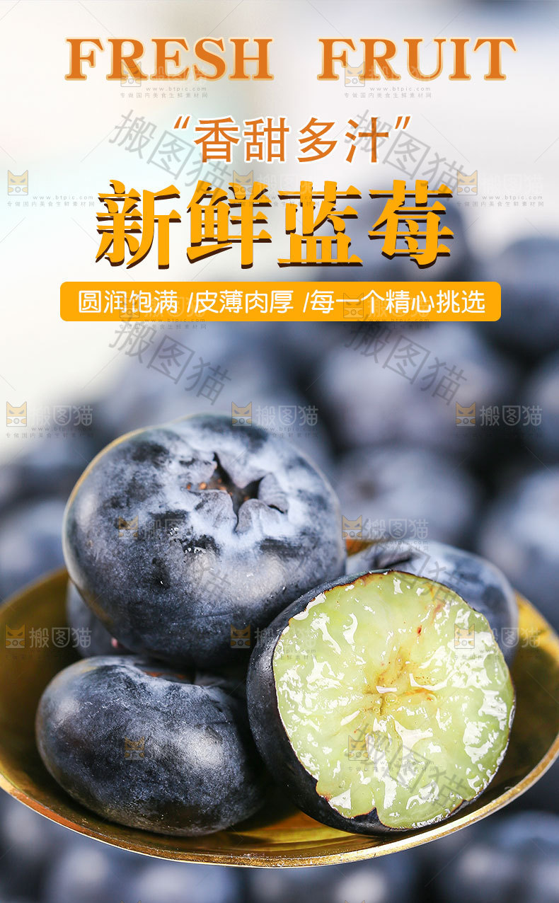 新鲜蓝莓详情页