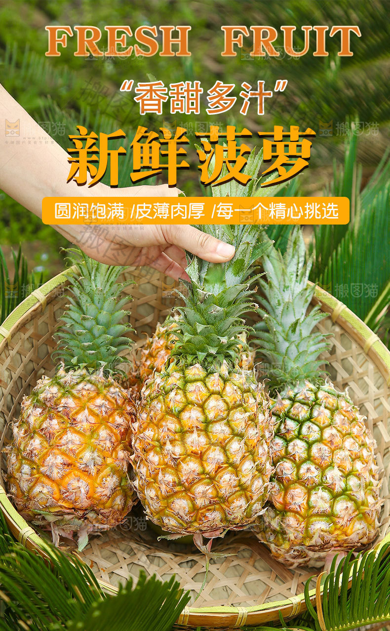 菠萝详情页设计
