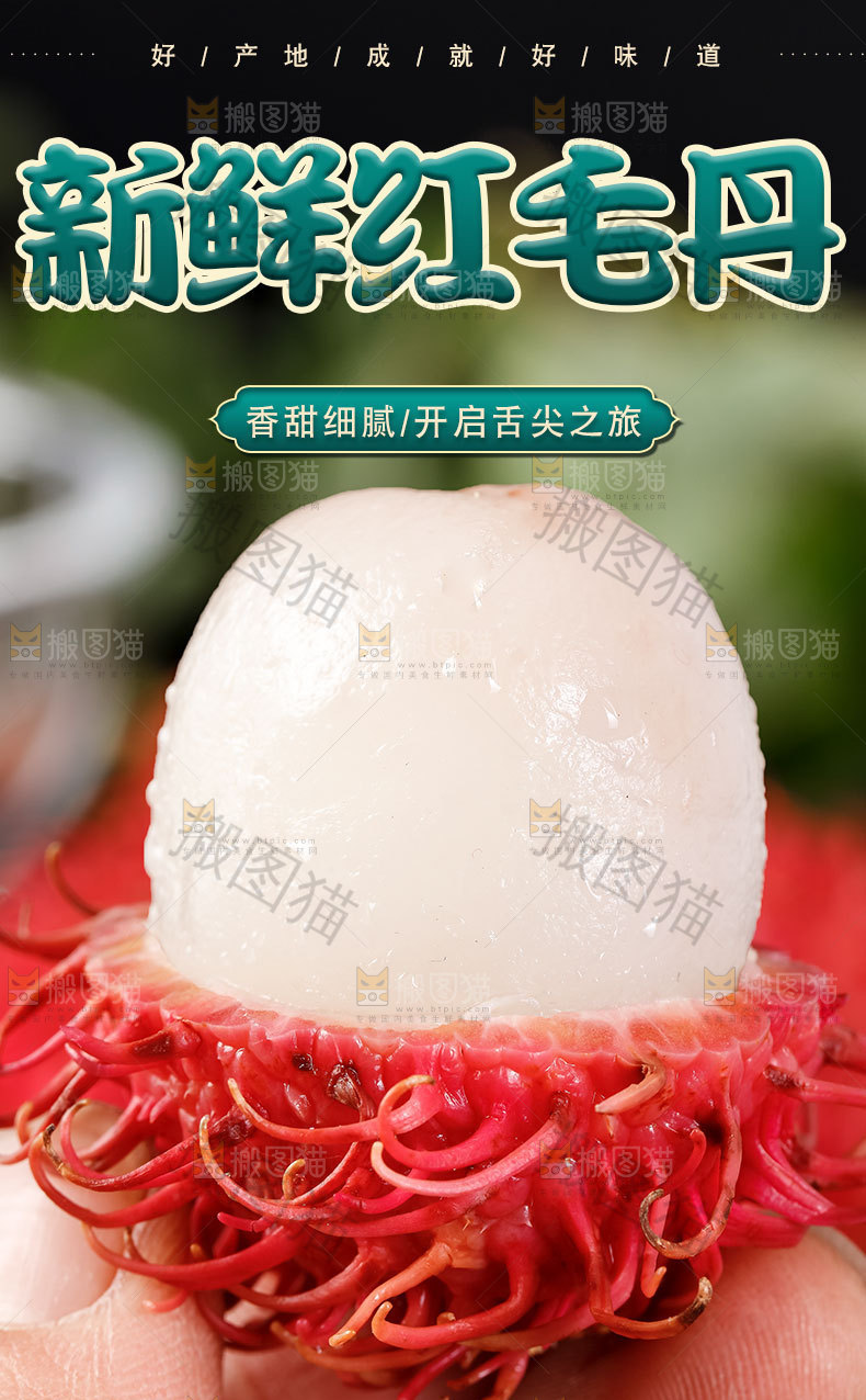 红毛丹详情页