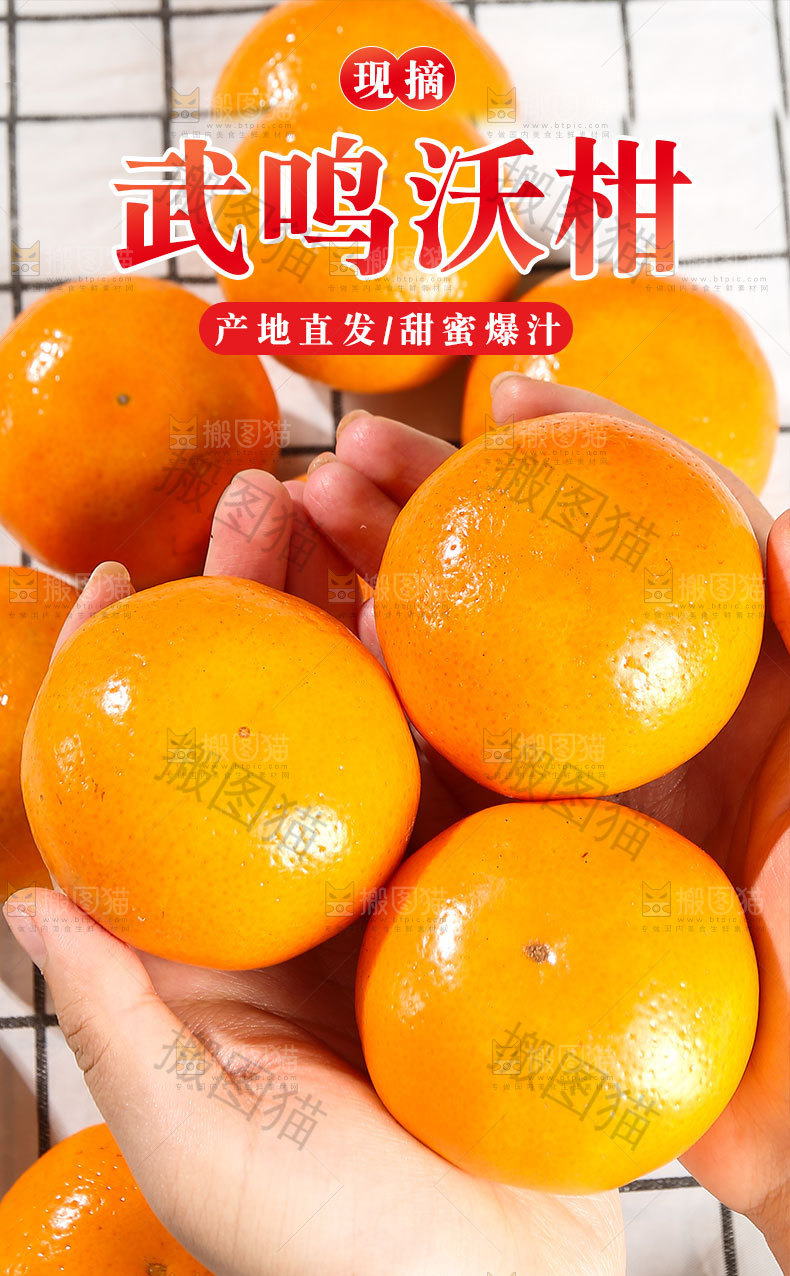 武鸣沃柑详情页