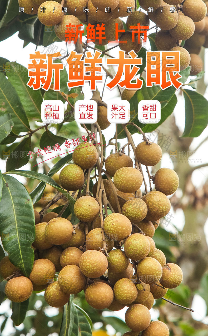 龙眼详情页