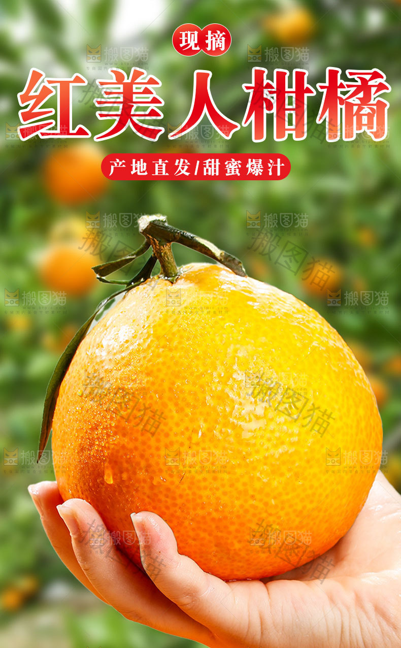 新鲜红美人详情页