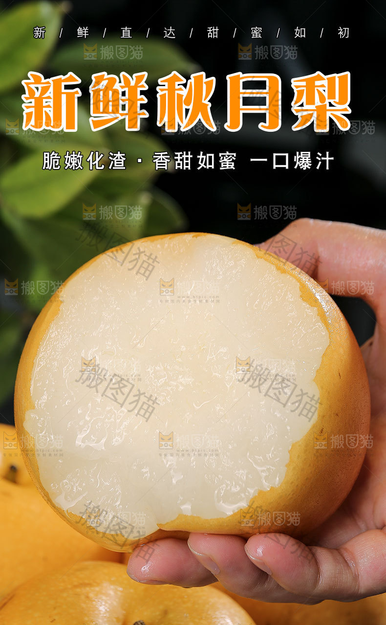 新鲜秋月梨详情页