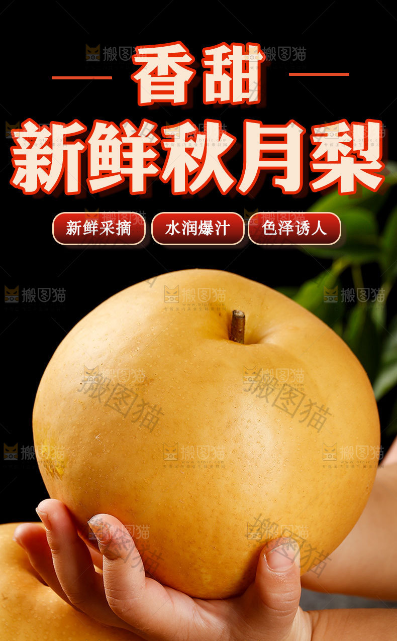 新鲜秋月梨详情页
